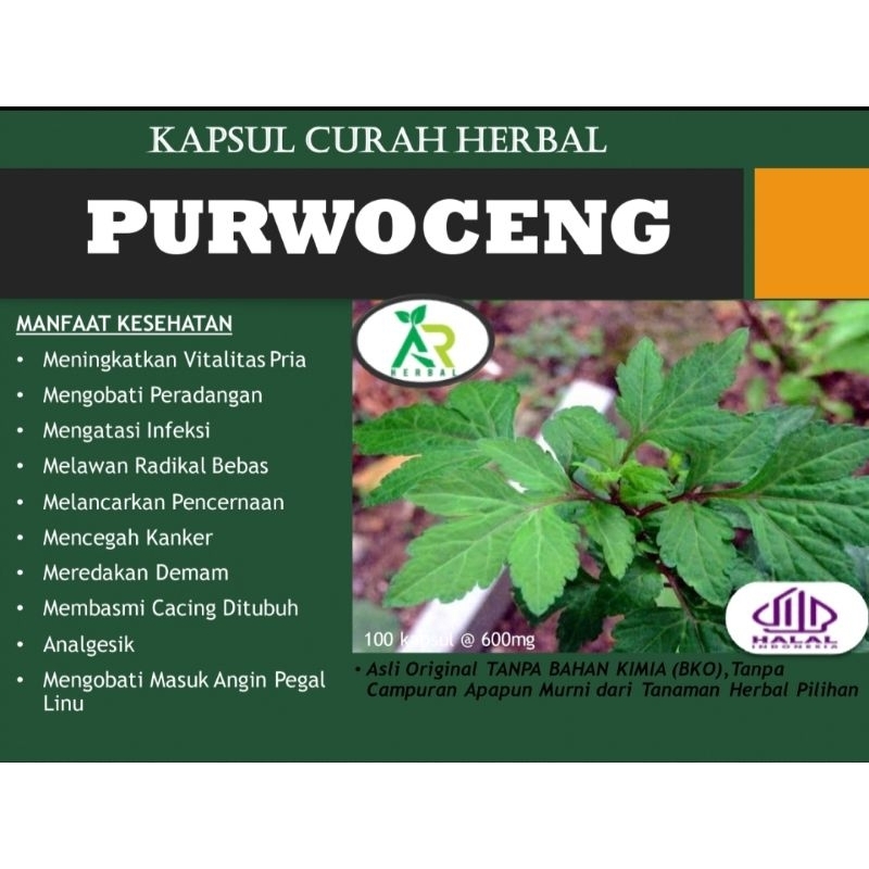 Kapsul PURWOCENG Kapsul Herbal Curah | Herbal Stamina Pria