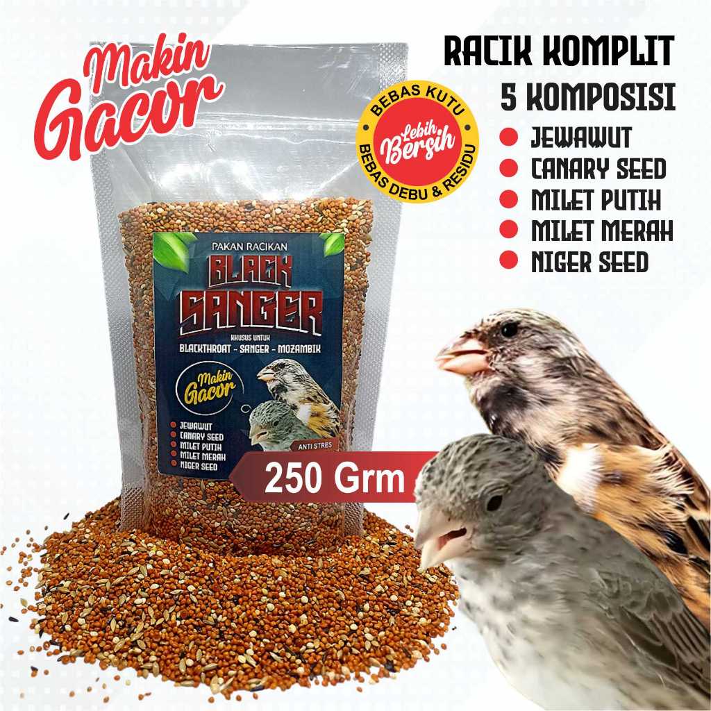PAKAN BURUNG BLACKTHROAT SANGER DAN MOZAMBIK ISI 250 GRM CAMPURAN JEWAWUT MILET MERAH MILET PUTIH NI