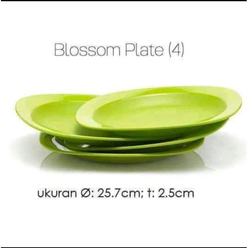 Blossom plate / Legacy large deep plate / OH plate Tupperware Piring makan dewasa Piring saji  1pc