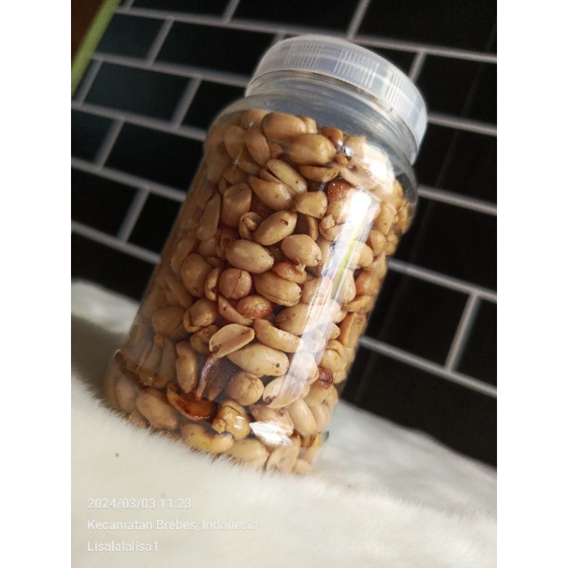 

kacang bawang
