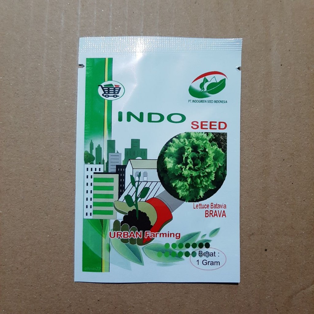 Benih BRAVA 1 gram - Benih Selada Brava indoseed kemasan original