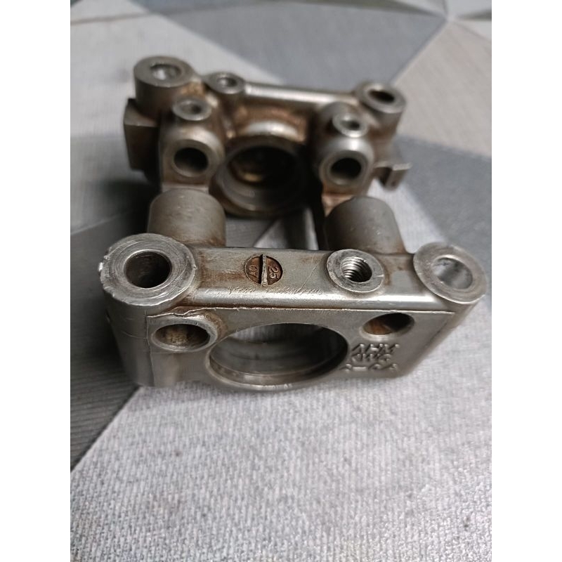 cangkang noken as cs1