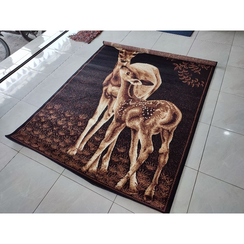 Karpet cantik ruang tamu minimalis