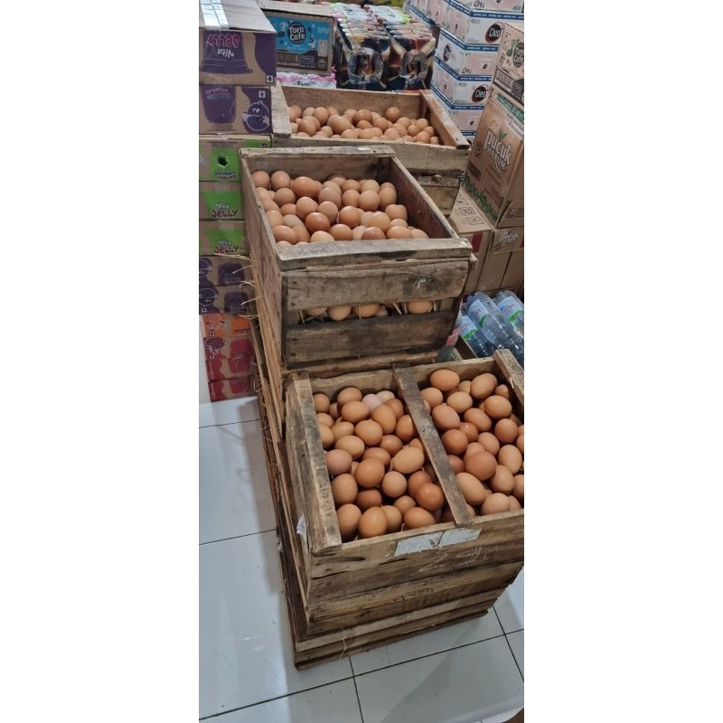

Telur lokal Fresh asli ternak sendiri