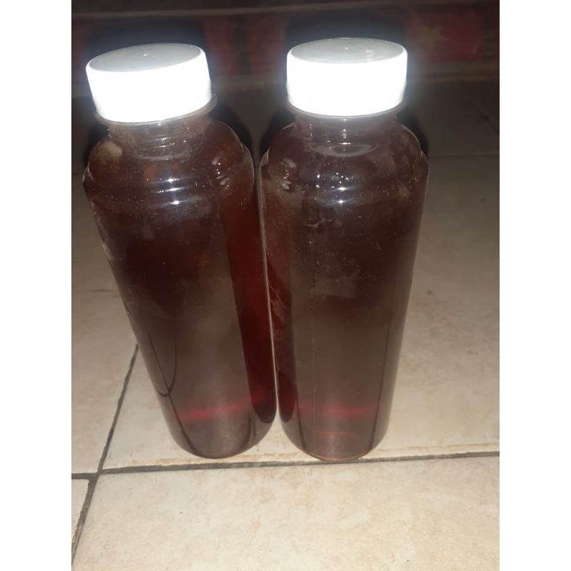 madu tawon liar