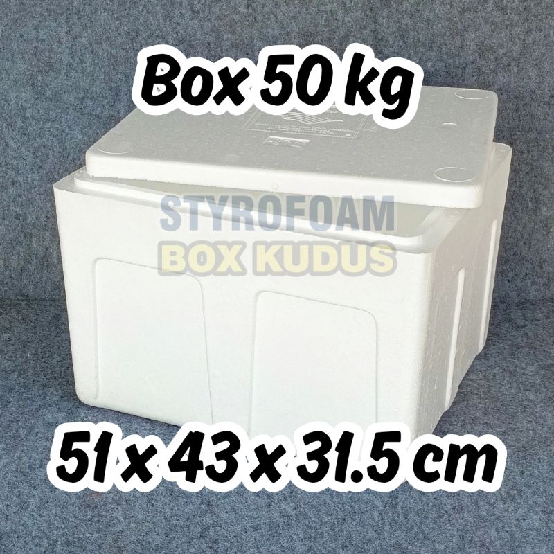 BOX 50 KG - Styrofoam Box Baru Penyimpanan Packing Frozen Food Box Ikan Wadah Ikan Sterofoam Sterofo