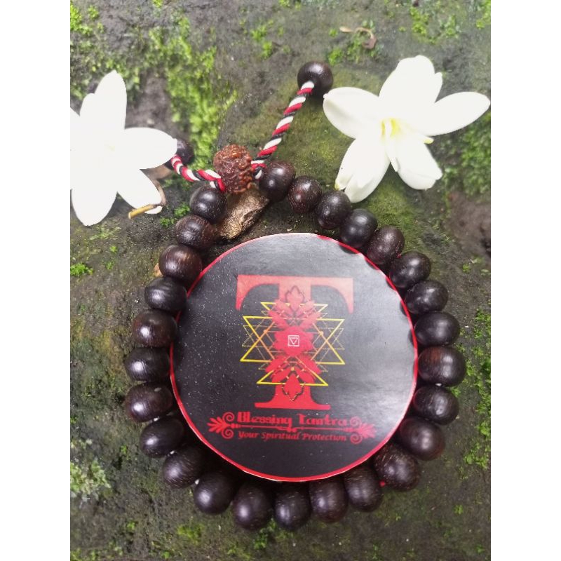 gelang galih kelor Jawa asli aktif sarana proteksi