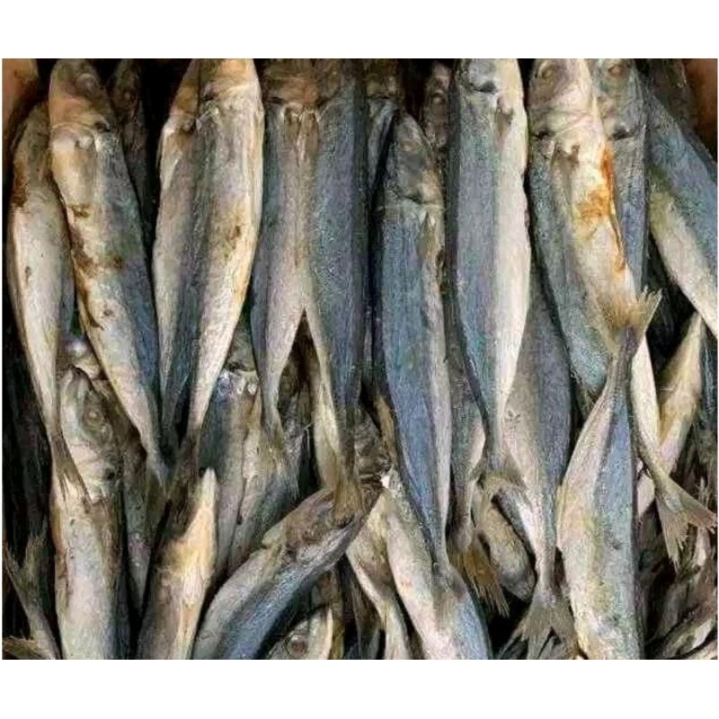 

Ikan Asin Layang Madura Sampang | Kemasan 1 Kg