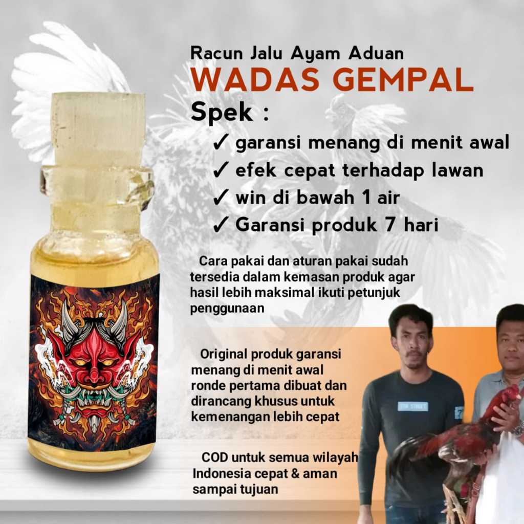 racun jalu ayam bangkok murah jamu jago tarung mangon anti lock