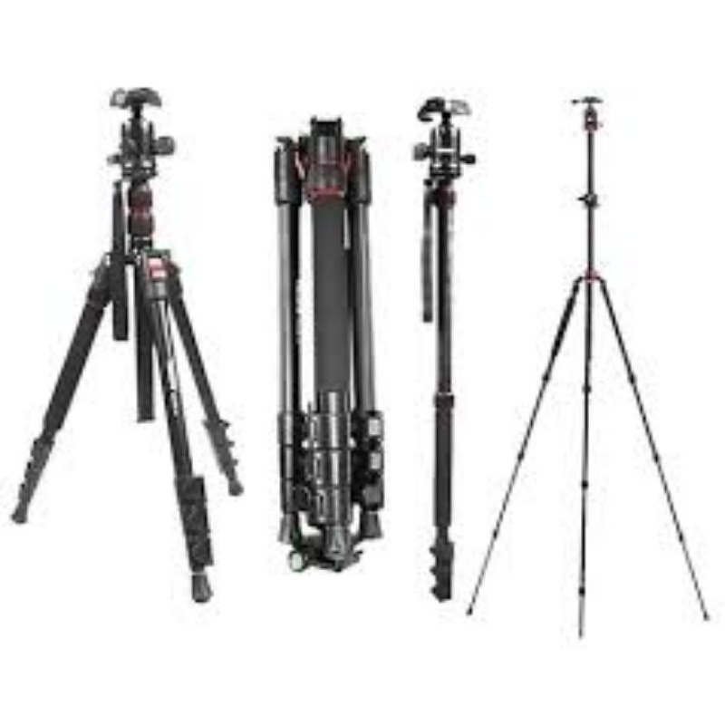 Tripod Takara Hunting