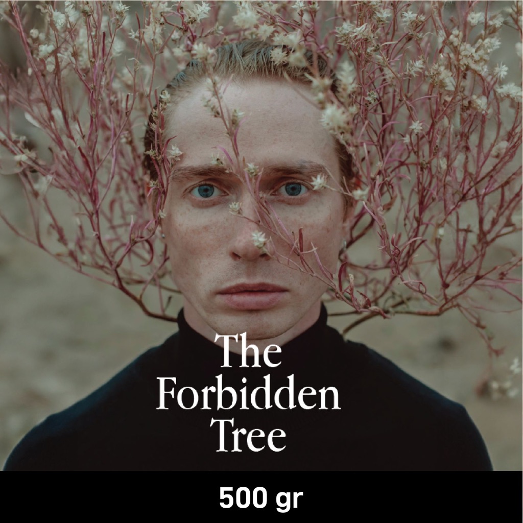 

Space Roastery Forbidden Tree - Filter Blend (500gr) specialty coffee biji kopi