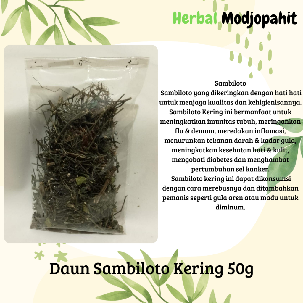 

Herbal Tunggal Kering Modjopahet SAMBILOTO kering 50g