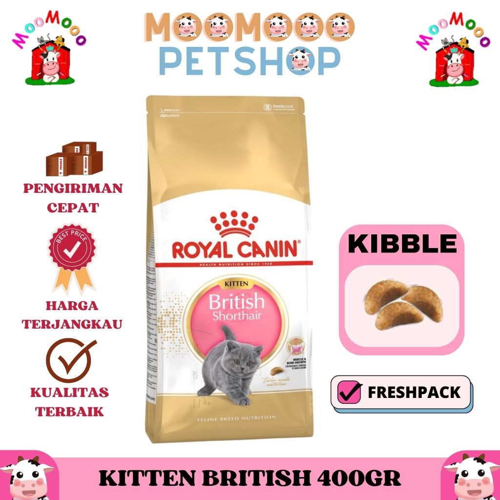 Royal Canin Kitten British Shorthair 400gr Makanan Anak Kucing British Short Hair / Cat Food