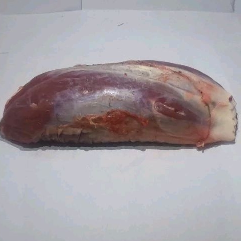 

Sengkel Sapi Fresh Botol ( Shank)