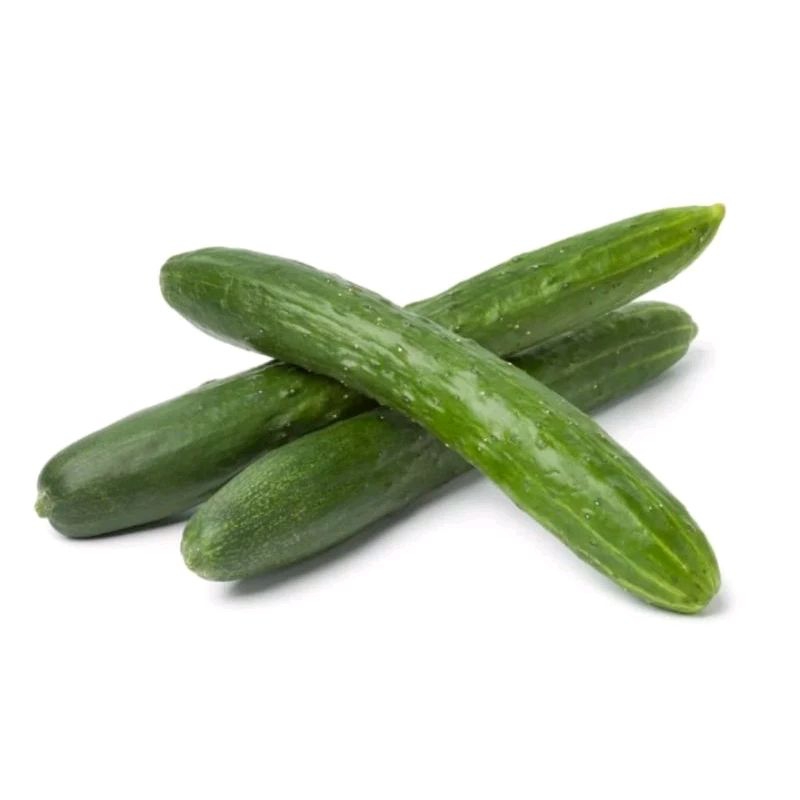 

Kyuri Organik | Tanya stok dulu yaa | greengarden | Hammysnotes