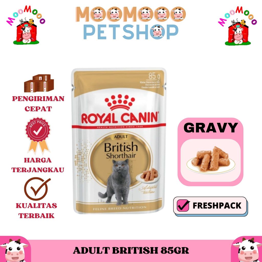Royal Canin Adult British Shorthair Sachet 85gr - Makanan Kucing / Wet Food