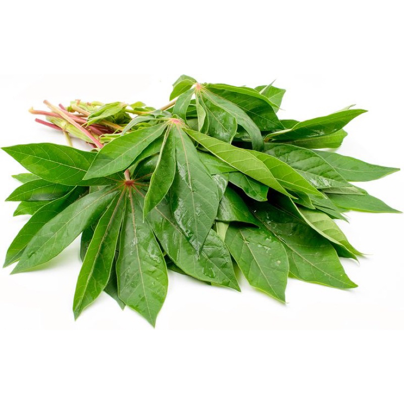 

Daun singkong/sayur daun singkong/pucuk daun singkong per ikat