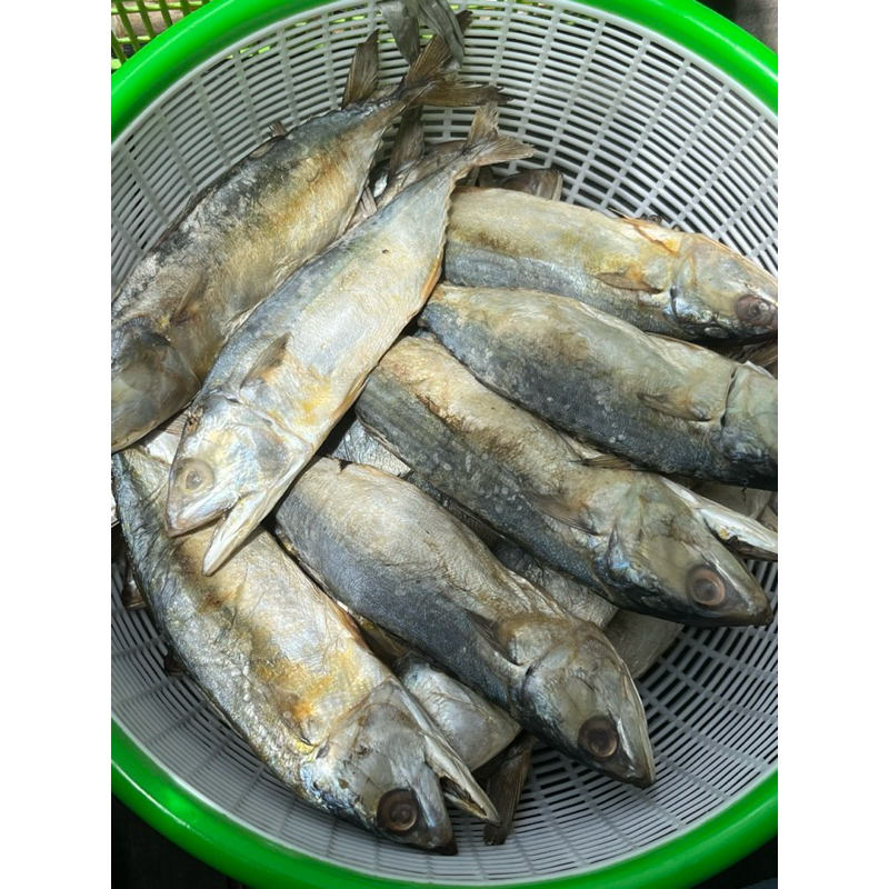 

Ikan peda kering dan ikan telang papan