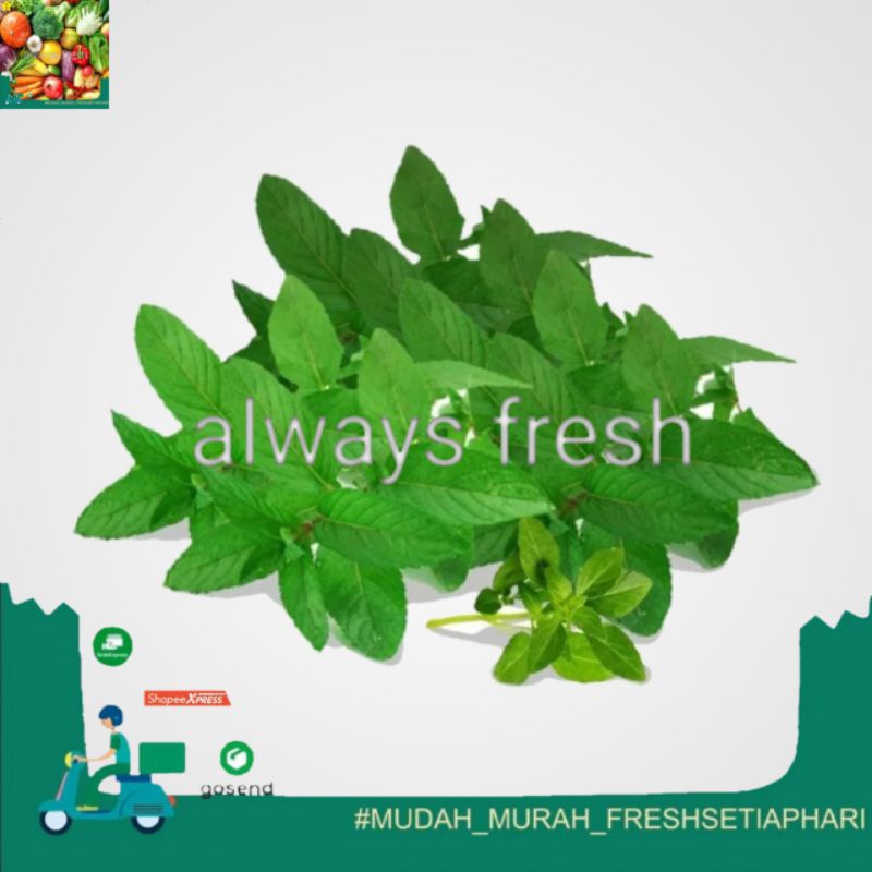 

daun kemangi 1 ikat - always fresh