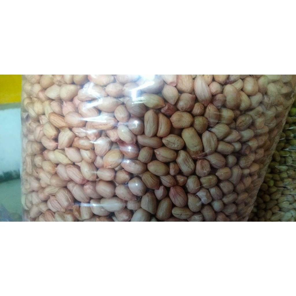 

Kacang India Putih