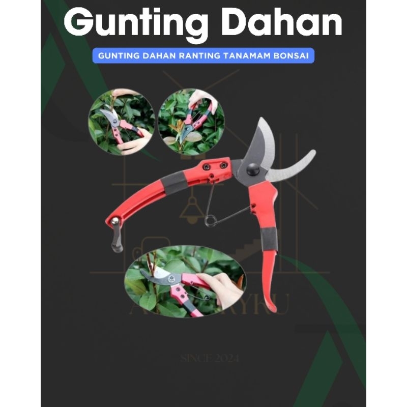 Gunting Tanaman Bonsai
