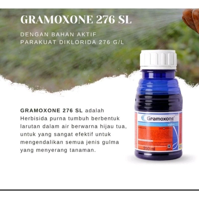 OBAT RUMPUT
