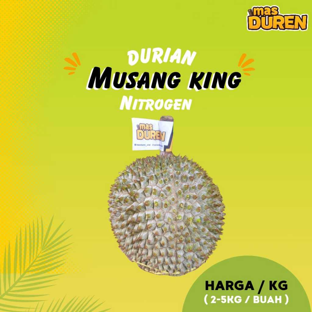 Durian Musang King Nitrogen Malaysia Duren 1 Buah Utuh Harga/ KG
