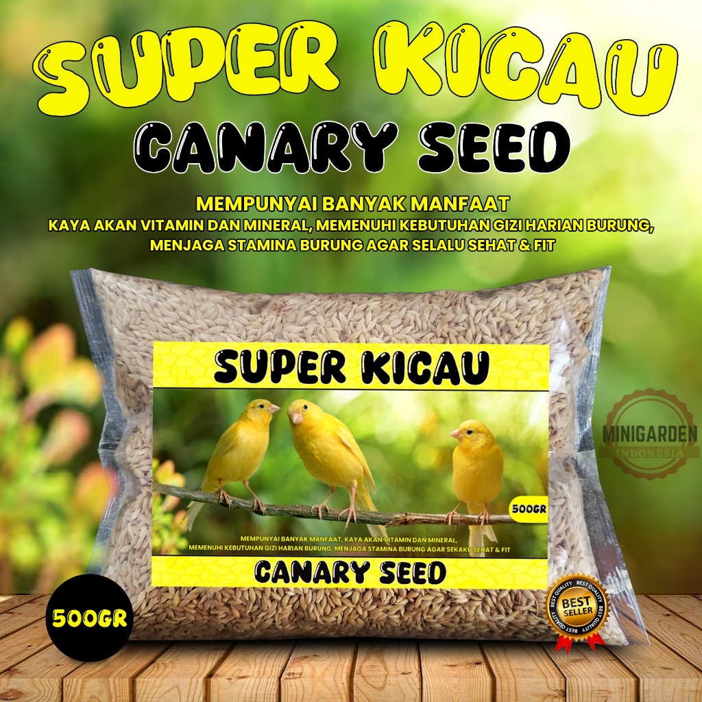 CANARY SEED SUPER KICAU 500 GRAM pakan burung lovebird branjangan biji kenari