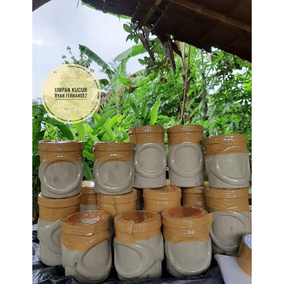 Hot Sale Umpan Kucur Super Ryan Fernandez