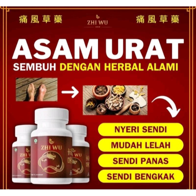 

zhi wu obat asam urat asli original