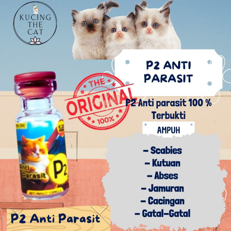 P2 kucing / Vitamin Kucing Obat Kucing Anti Jamur P2 Obat Kucing Jamuran P2 Vitamin Kucing P2 Anti S
