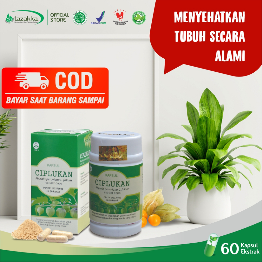 

Kapsul Daun Ceplukan Tazakka Original Halal BPOM Isi 60 Extract Obat Diabetes Kering Paling Ampuh