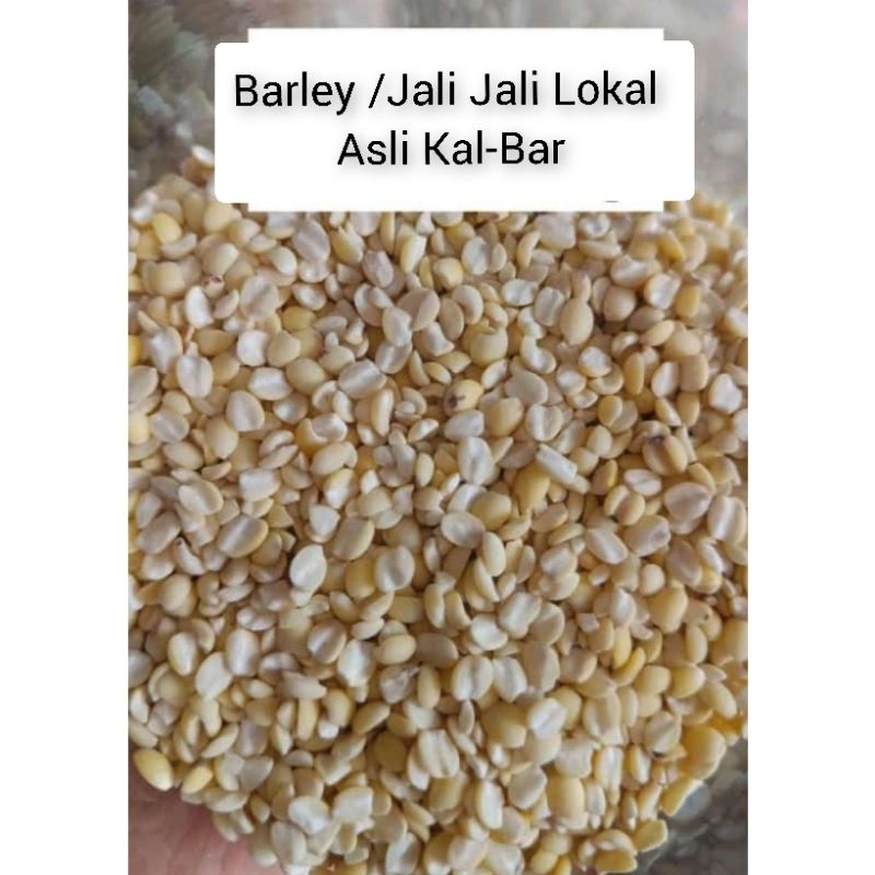 

Biji Jali Jali (±250gr) Pearl Barley / iu bi / Jelai / Barley Holland / Biji Jali Lokal