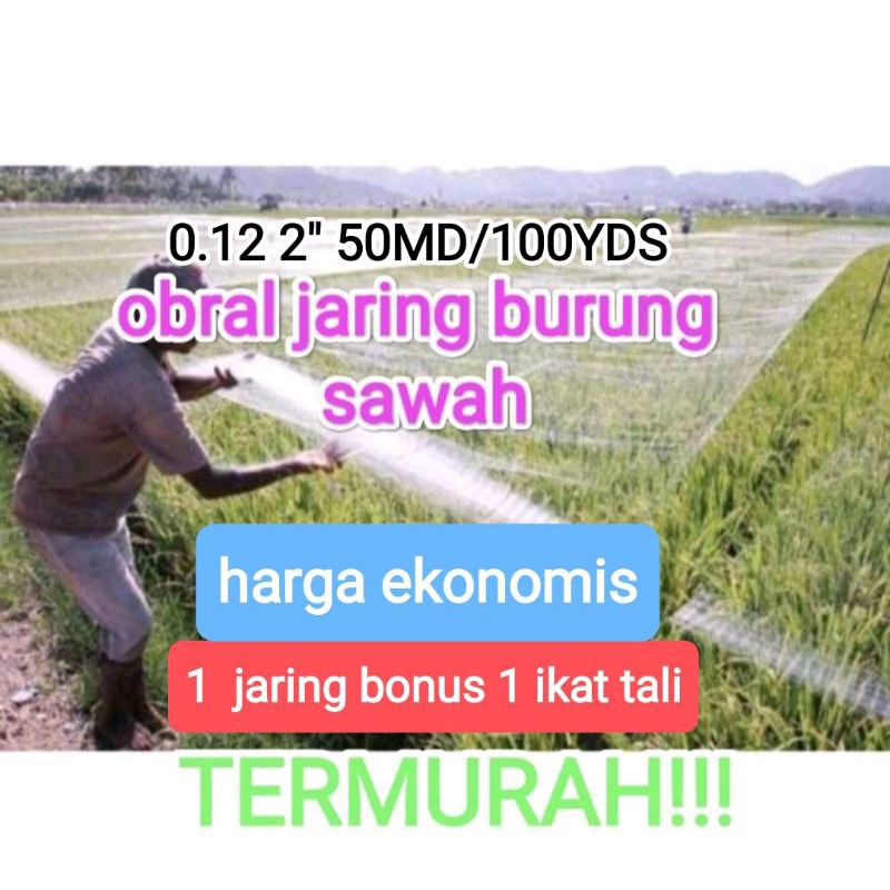 Jaring burung padi sawah jaring jaring burung emperit sawah jaring pengaman penghalo burung sawah