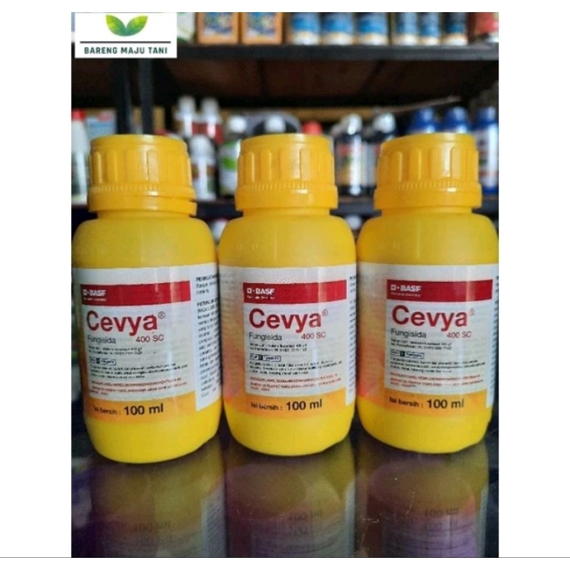 Cevya 100ml