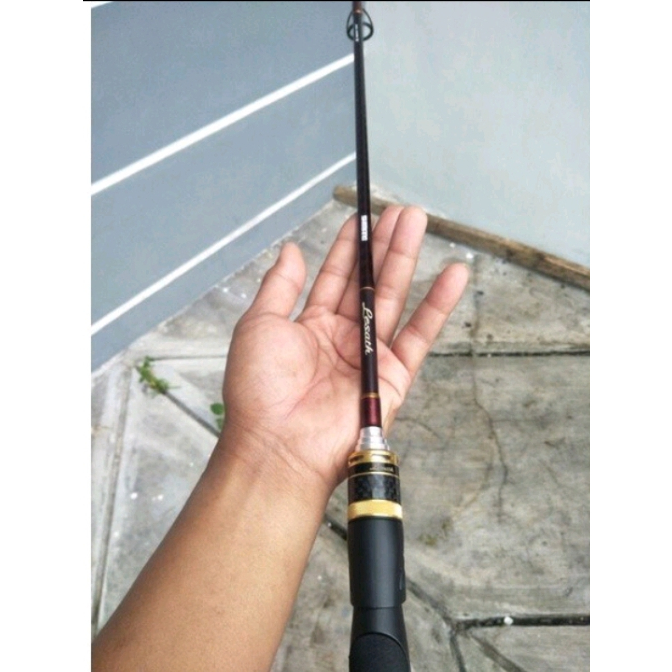 Joran custom Shimano lesath GS