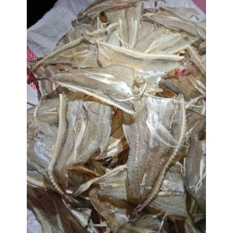 

ikan Tipis Khas Tarakan 1kg