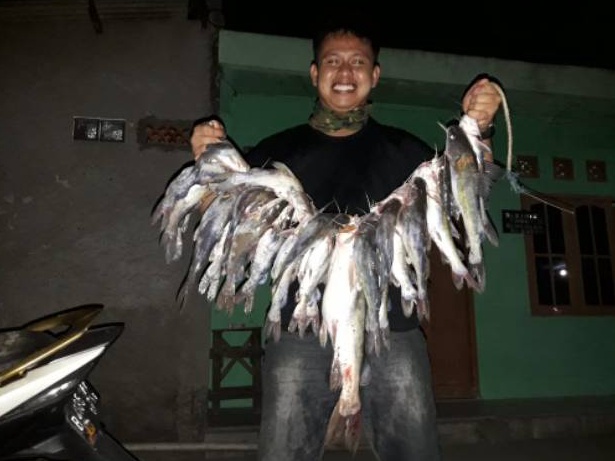 Big Sale Umpan Kucur Ryan Fernandez 12 Kg