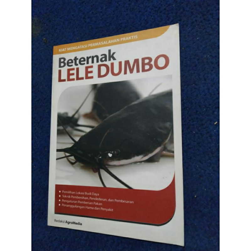 beternak lele dumbo