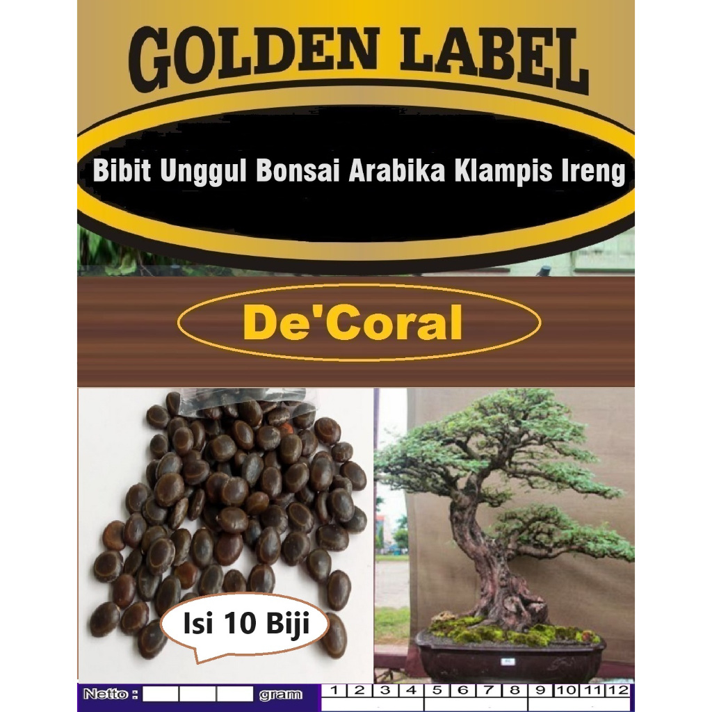 Bibit Unggul Bonsai Arabica Klampis Ireng | Biji Benih Bonsai Arabica