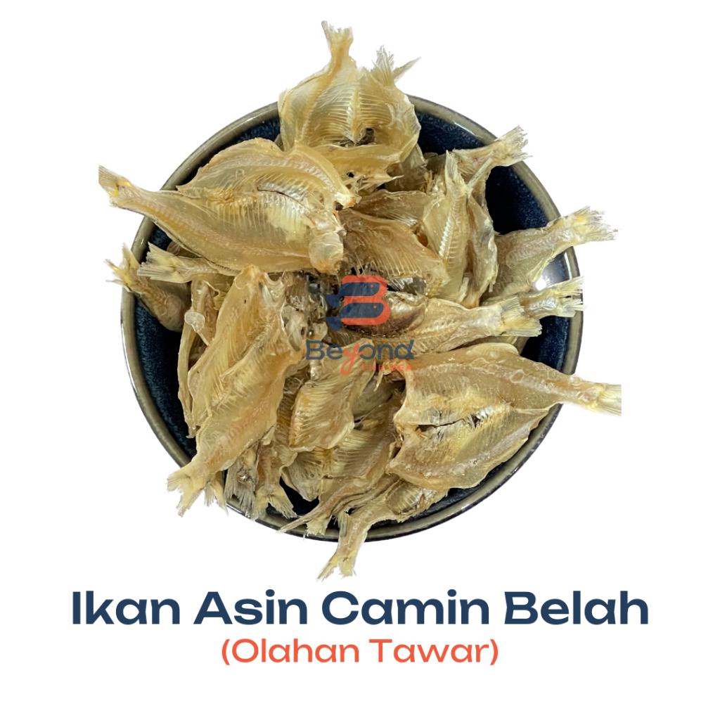 

Ikan Asin Camin Belah Tawar/Ikan Asin Kerupuk (100Gr) | beyondthesea