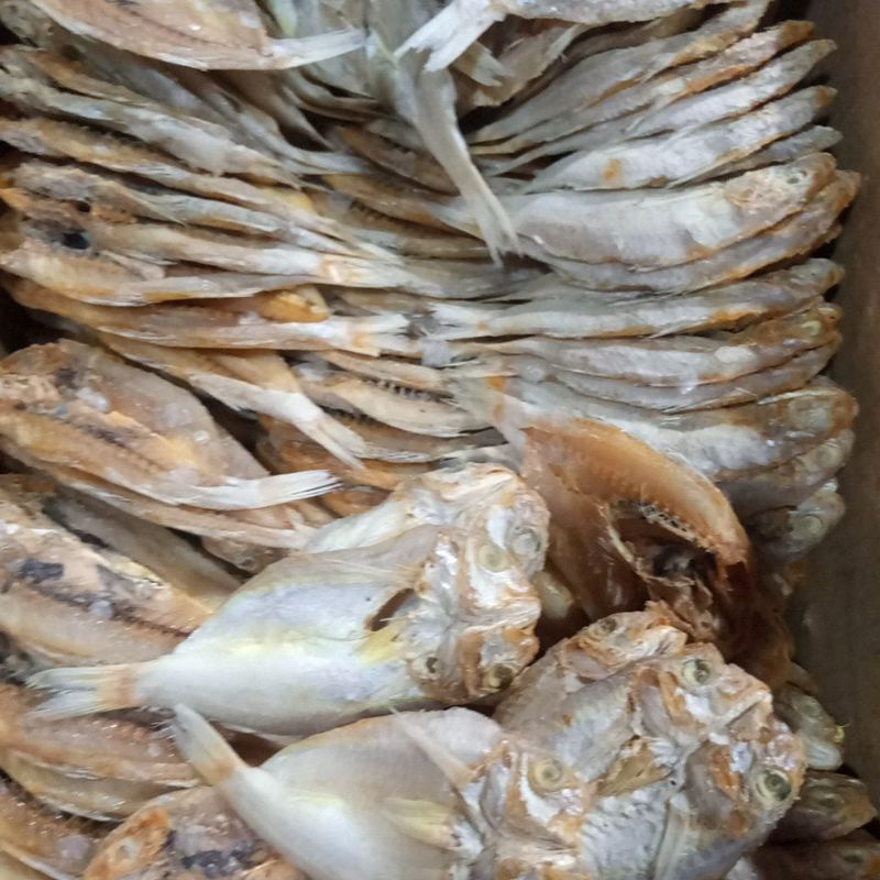 

kuniran per 1kg