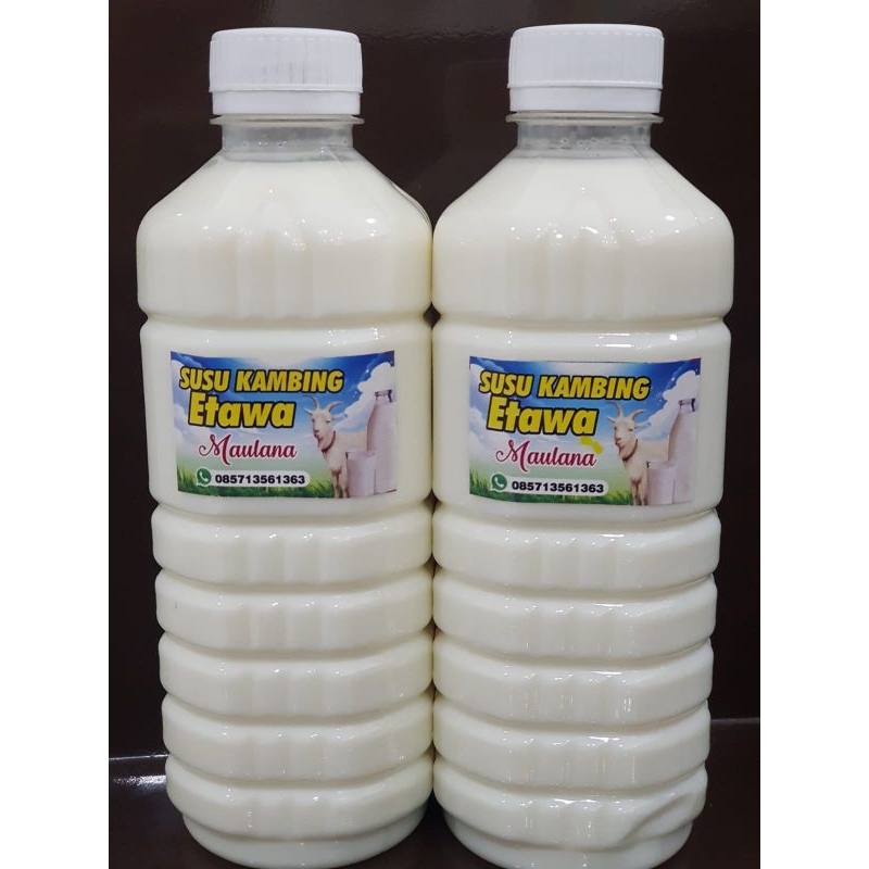 

Susu Kambing Etawa Maulana