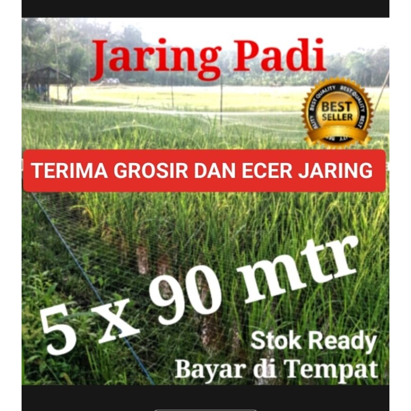 JARING BURUNG SAWAH jaring ikan 5mx100yds jaring padi sawah jaring burung pipit sawah jaring burung 