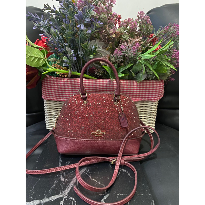 CoachSierraSlingBagMicro/mini