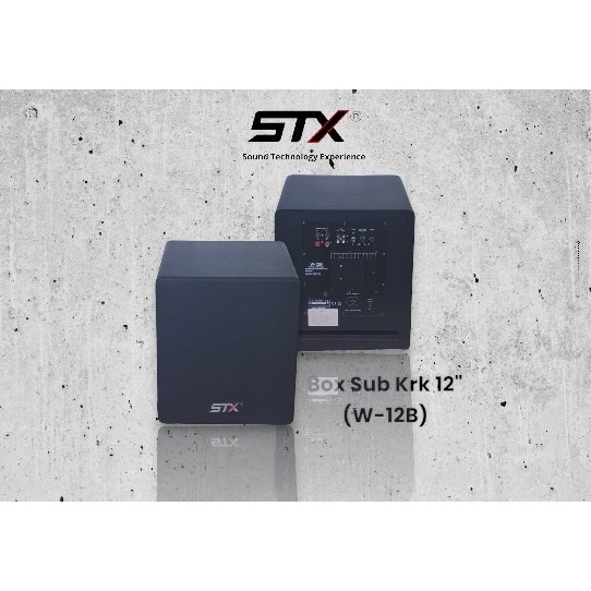 STX - BOX KRK : Box SUB Karaoke 12" 120W Merk STX W