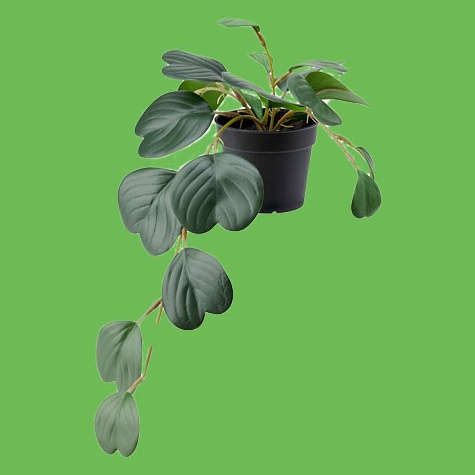 MURAH MERIAH Tanaman tiruan dalam pot FEJKA digantung peperomia 9 cm