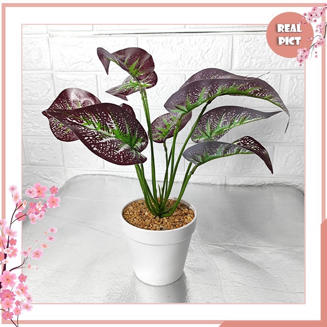 BEST SELLER UNICO Pot Bunga Hias Plastik Tanaman Artificial Daun Rambat Kering Murah Dekorasi Daun T