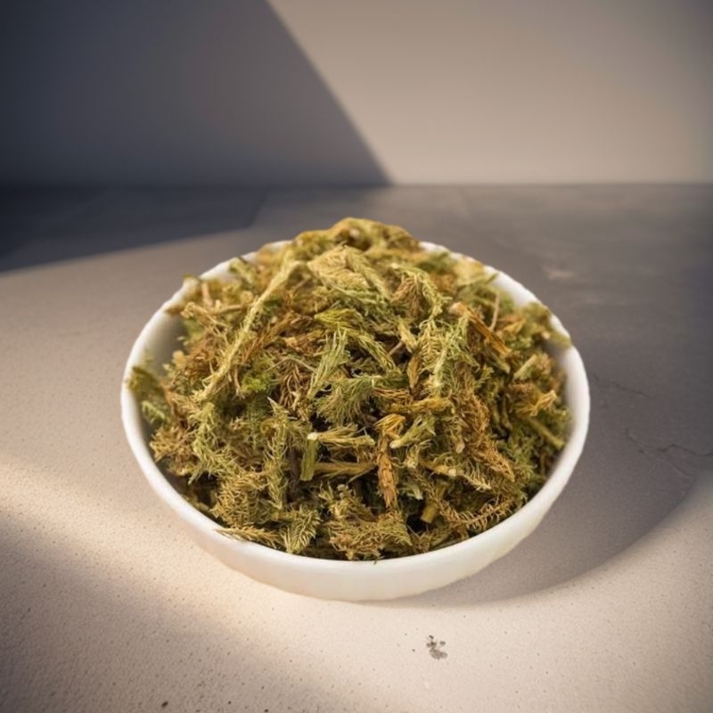 

100gr Herbal Shen Jin Cao 伸筋草 Common Clubmoss Herb Premium Grade