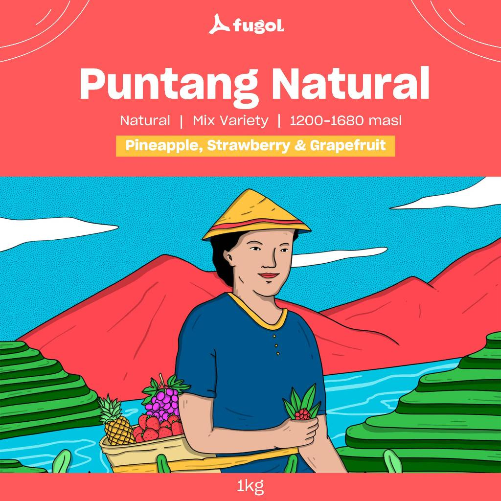 

Kopi Arabika PUNTANG NATURAL (1KG) Specialty Coffee Beans